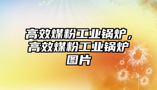 高效煤粉工業(yè)鍋爐，高效煤粉工業(yè)鍋爐圖片