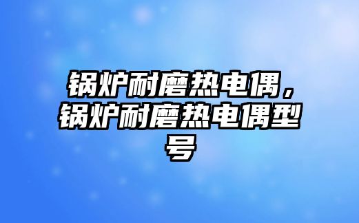 鍋爐耐磨熱電偶，鍋爐耐磨熱電偶型號