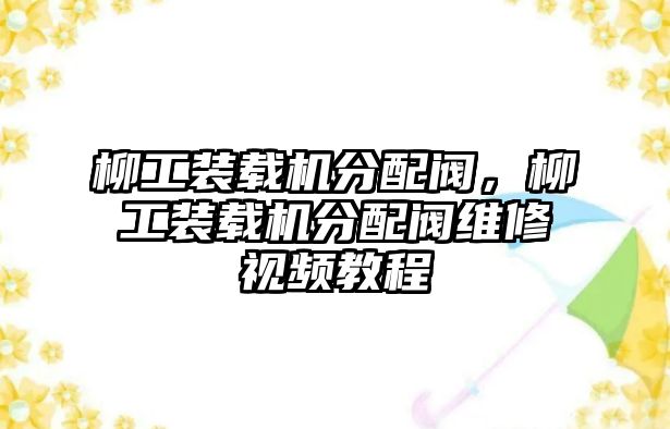 柳工裝載機(jī)分配閥，柳工裝載機(jī)分配閥維修視頻教程