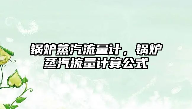 鍋爐蒸汽流量計(jì)，鍋爐蒸汽流量計(jì)算公式