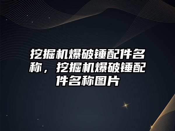 挖掘機爆破錘配件名稱，挖掘機爆破錘配件名稱圖片