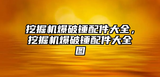 挖掘機爆破錘配件大全，挖掘機爆破錘配件大全圖