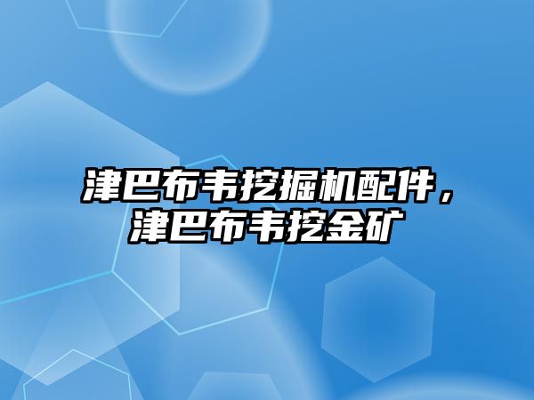 津巴布韋挖掘機(jī)配件，津巴布韋挖金礦