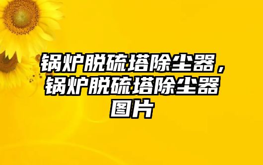 鍋爐脫硫塔除塵器，鍋爐脫硫塔除塵器圖片