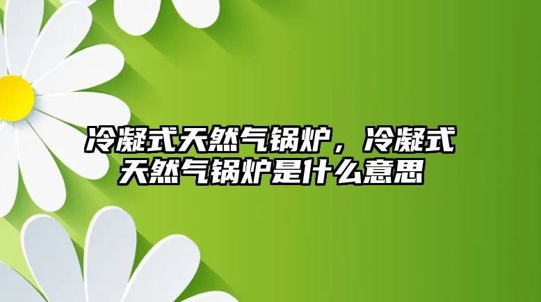 冷凝式天然氣鍋爐，冷凝式天然氣鍋爐是什么意思