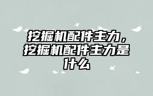 挖掘機(jī)配件主力，挖掘機(jī)配件主力是什么