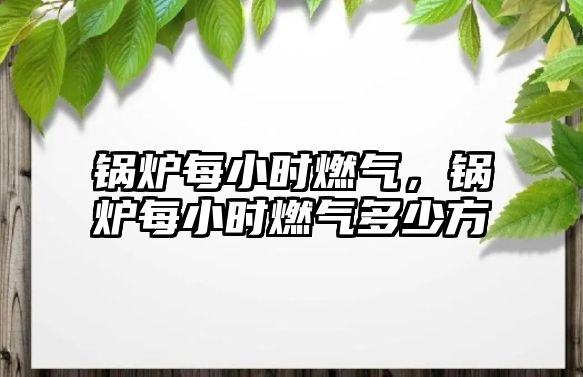 鍋爐每小時(shí)燃?xì)?，鍋爐每小時(shí)燃?xì)舛嗌俜?/>	
								</i>
								<p class=