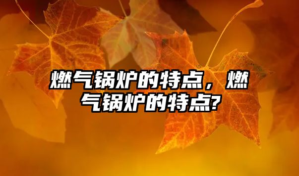 燃?xì)忮仩t的特點(diǎn)，燃?xì)忮仩t的特點(diǎn)?