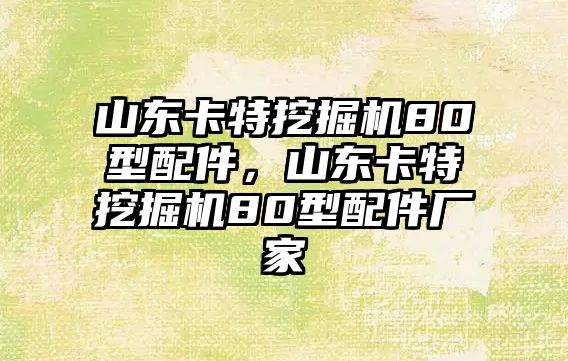 山東卡特挖掘機(jī)80型配件，山東卡特挖掘機(jī)80型配件廠家