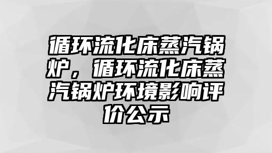 循環(huán)流化床蒸汽鍋爐，循環(huán)流化床蒸汽鍋爐環(huán)境影響評價公示