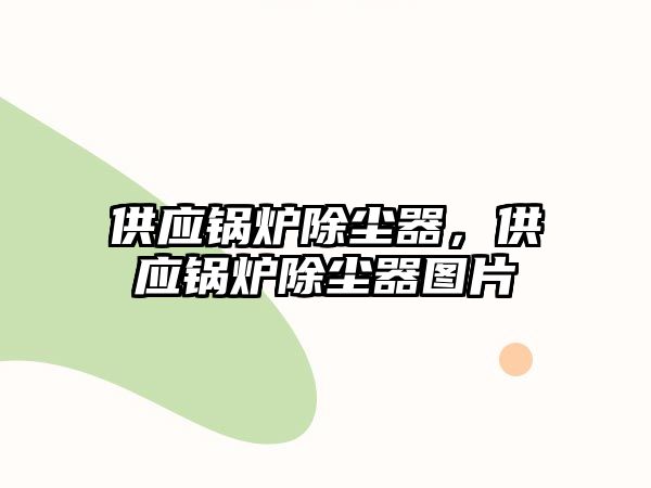 供應(yīng)鍋爐除塵器，供應(yīng)鍋爐除塵器圖片