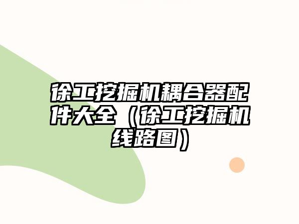 徐工挖掘機耦合器配件大全（徐工挖掘機線路圖）