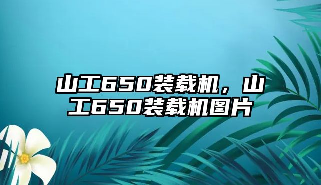 山工650裝載機(jī)，山工650裝載機(jī)圖片