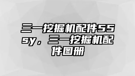 三一挖掘機(jī)配件55sy，三一挖掘機(jī)配件圖冊