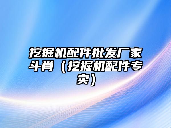 挖掘機配件批發(fā)廠家斗肖（挖掘機配件專賣）