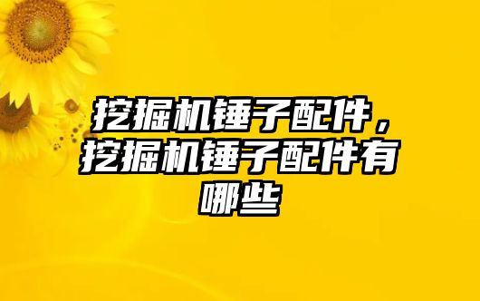 挖掘機錘子配件，挖掘機錘子配件有哪些