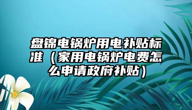 盤錦電鍋爐用電補(bǔ)貼標(biāo)準(zhǔn)（家用電鍋爐電費(fèi)怎么申請政府補(bǔ)貼）