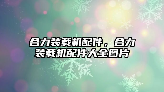 合力裝載機配件，合力裝載機配件大全圖片