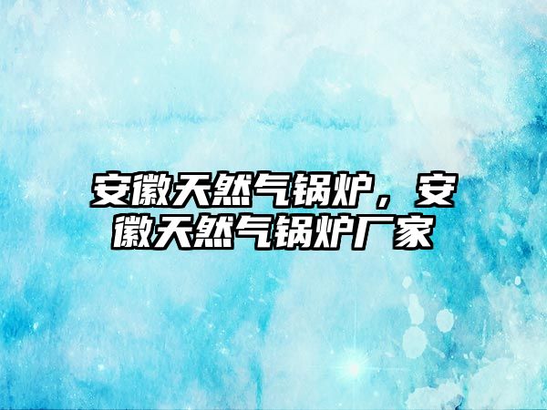 安徽天然氣鍋爐，安徽天然氣鍋爐廠家