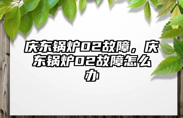 慶東鍋爐02故障，慶東鍋爐02故障怎么辦