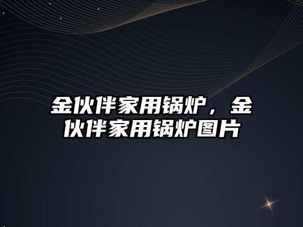 金伙伴家用鍋爐，金伙伴家用鍋爐圖片