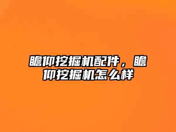 瞻仰挖掘機配件，瞻仰挖掘機怎么樣