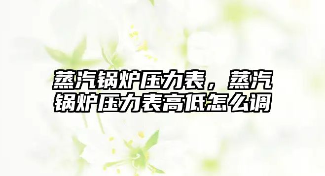 蒸汽鍋爐壓力表，蒸汽鍋爐壓力表高低怎么調(diào)