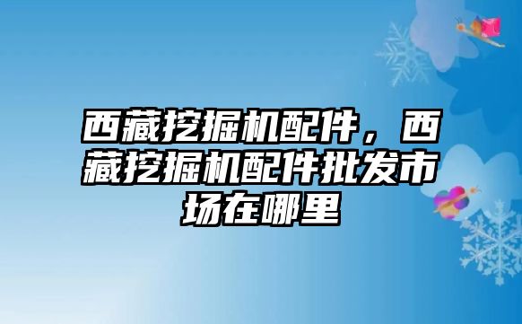 西藏挖掘機(jī)配件，西藏挖掘機(jī)配件批發(fā)市場(chǎng)在哪里