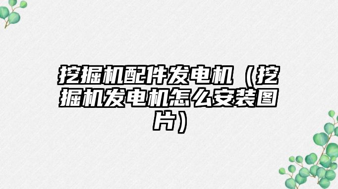 挖掘機配件發(fā)電機（挖掘機發(fā)電機怎么安裝圖片）