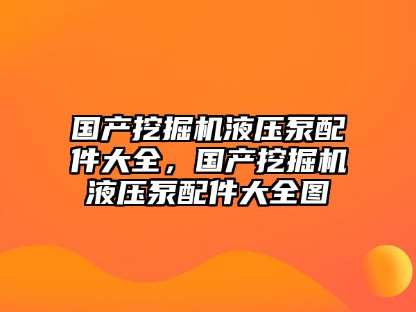 國產挖掘機液壓泵配件大全，國產挖掘機液壓泵配件大全圖