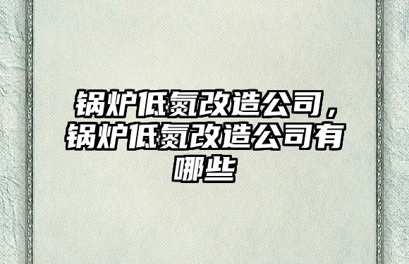 鍋爐低氮改造公司，鍋爐低氮改造公司有哪些