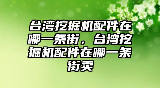 臺灣挖掘機(jī)配件在哪一條街，臺灣挖掘機(jī)配件在哪一條街賣