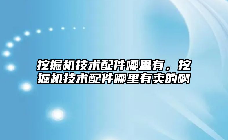 挖掘機技術配件哪里有，挖掘機技術配件哪里有賣的啊