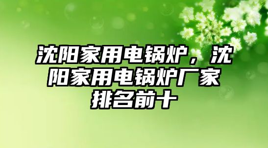 沈陽家用電鍋爐，沈陽家用電鍋爐廠家排名前十