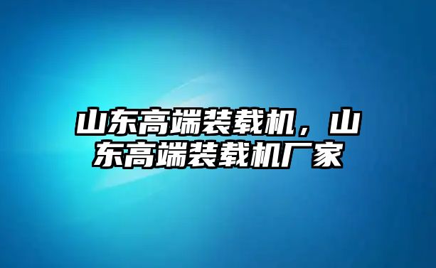 山東高端裝載機，山東高端裝載機廠家