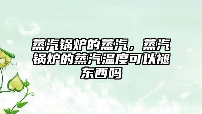 蒸汽鍋爐的蒸汽，蒸汽鍋爐的蒸汽溫度可以褪東西嗎