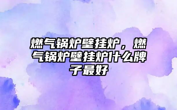 燃?xì)忮仩t壁掛爐，燃?xì)忮仩t壁掛爐什么牌子最好