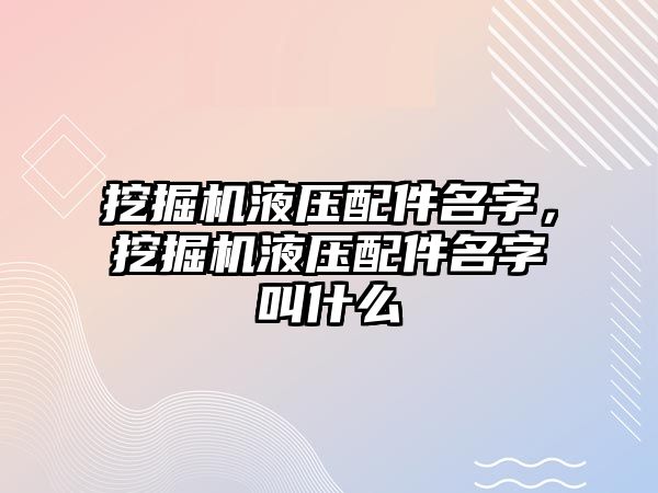 挖掘機(jī)液壓配件名字，挖掘機(jī)液壓配件名字叫什么