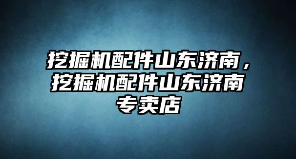 挖掘機(jī)配件山東濟(jì)南，挖掘機(jī)配件山東濟(jì)南專賣店