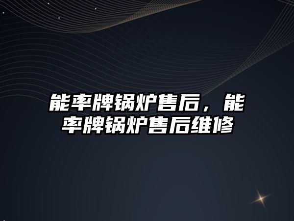 能率牌鍋爐售后，能率牌鍋爐售后維修