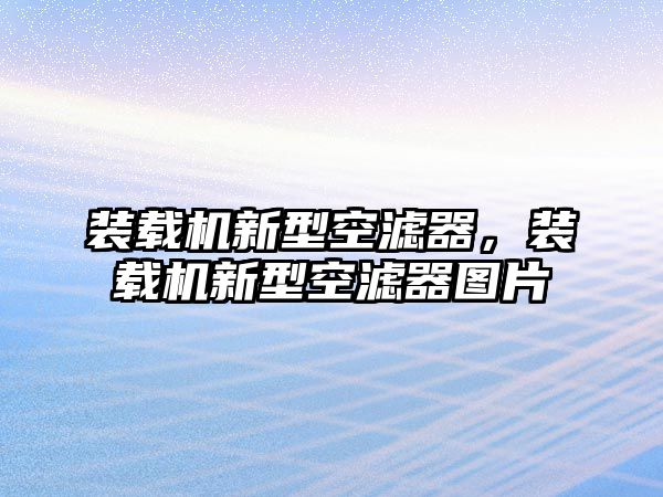 裝載機(jī)新型空濾器，裝載機(jī)新型空濾器圖片