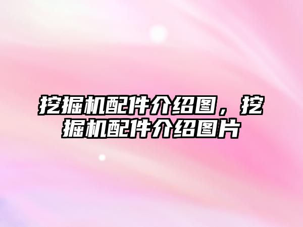 挖掘機配件介紹圖，挖掘機配件介紹圖片