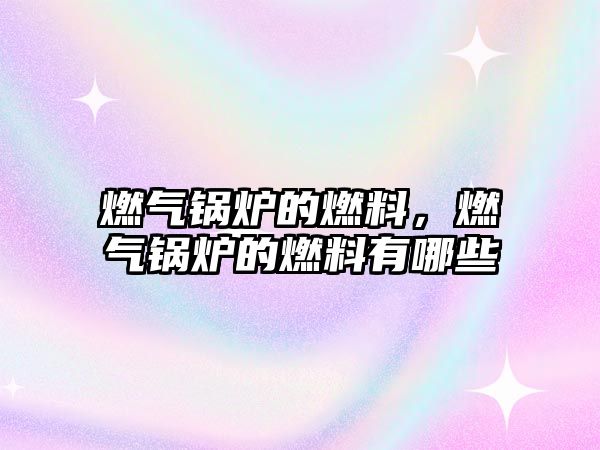 燃?xì)忮仩t的燃料，燃?xì)忮仩t的燃料有哪些