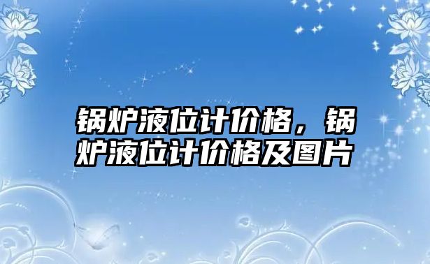 鍋爐液位計價格，鍋爐液位計價格及圖片