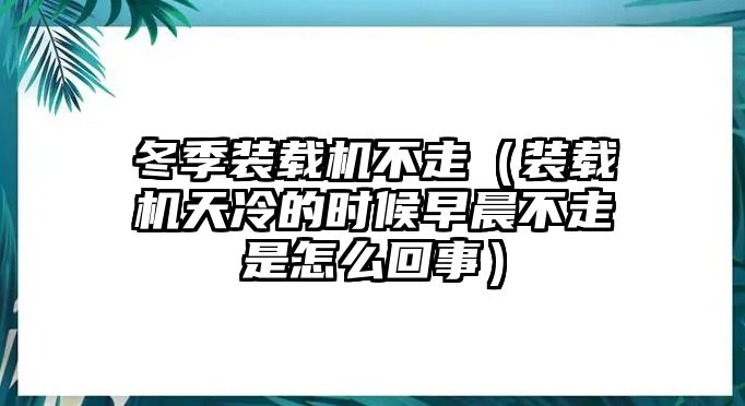 冬季裝載機不走（裝載機天冷的時候早晨不走是怎么回事）