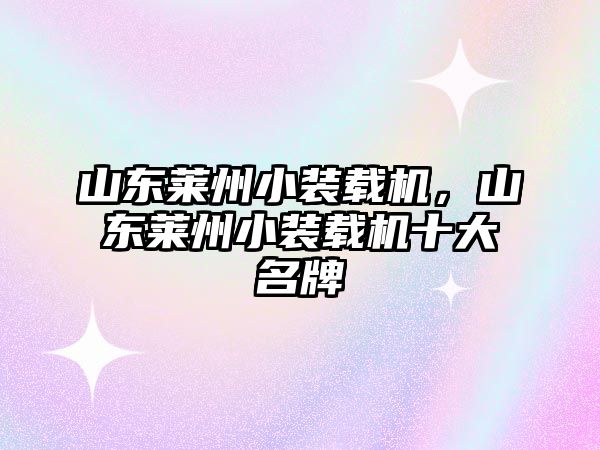 山東萊州小裝載機，山東萊州小裝載機十大名牌