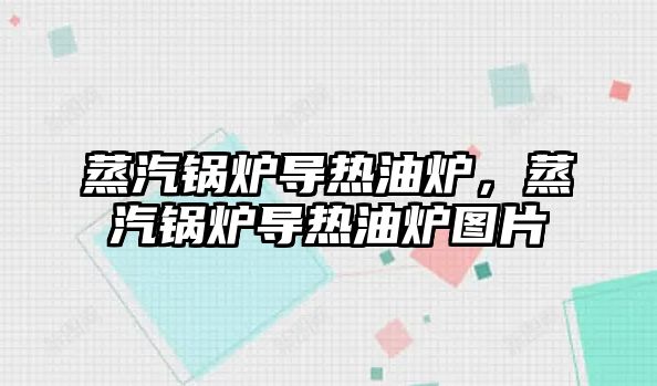 蒸汽鍋爐導熱油爐，蒸汽鍋爐導熱油爐圖片