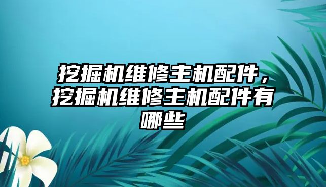 挖掘機維修主機配件，挖掘機維修主機配件有哪些