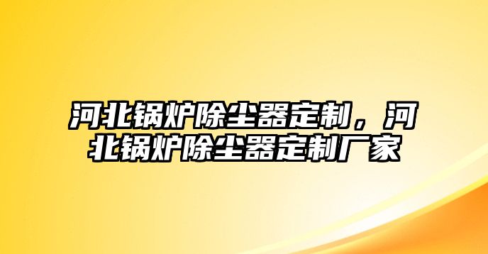 河北鍋爐除塵器定制，河北鍋爐除塵器定制廠家