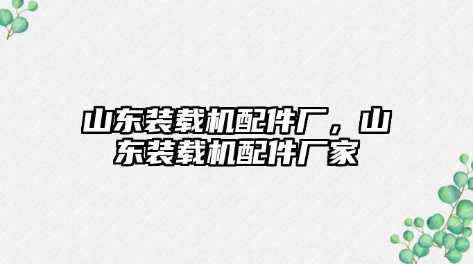 山東裝載機配件廠，山東裝載機配件廠家